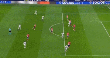 老鹰走路像极了老板，接下来忍住别笑，一起来感受一下